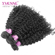 Wholesale Price Grade 7A Malaysian Curly Virgin Brazilian Hair